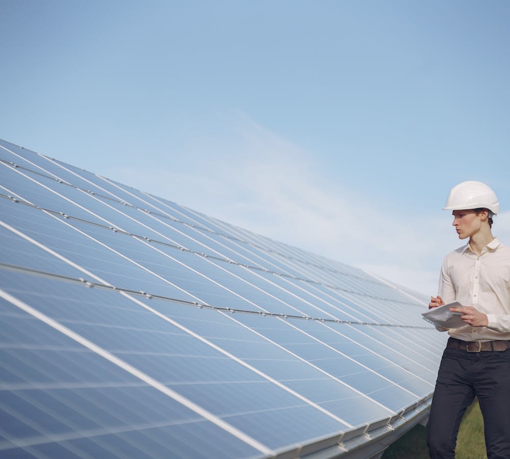 pexels-photo-4254170